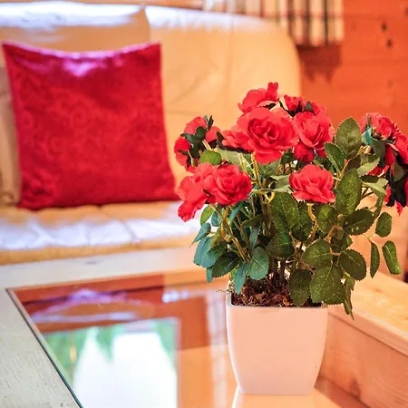 度假居 Village Wildschoenau Family Chalet, Cleaning Included